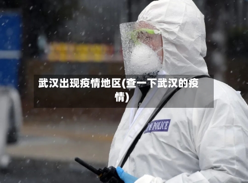 武汉出现疫情地区(查一下武汉的疫情)