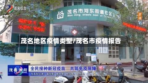 茂名地区疫情类型/茂名市疫情报告