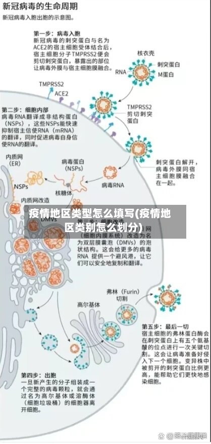 疫情地区类型怎么填写(疫情地区类别怎么划分)-第2张图片