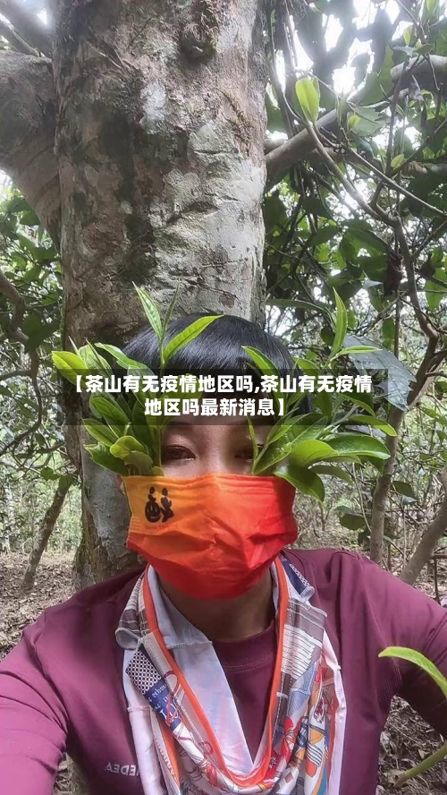【茶山有无疫情地区吗,茶山有无疫情地区吗最新消息】
