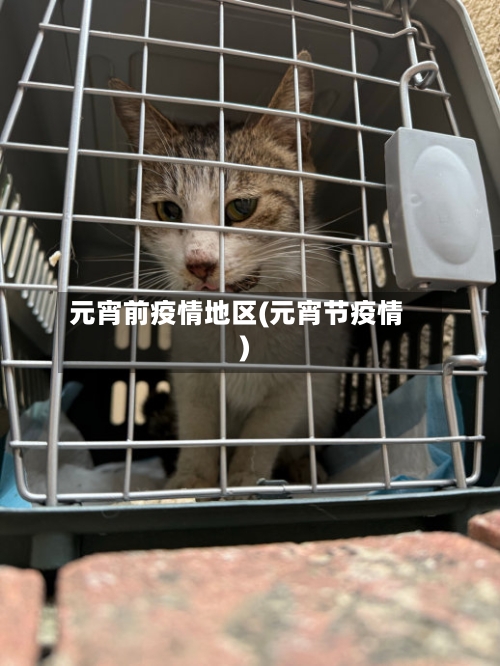 元宵前疫情地区(元宵节疫情)