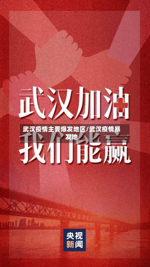 武汉疫情主要爆发地区/武汉疫情暴发地-第2张图片