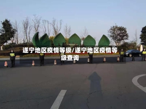 遂宁地区疫情等级/遂宁地区疫情等级查询-第3张图片
